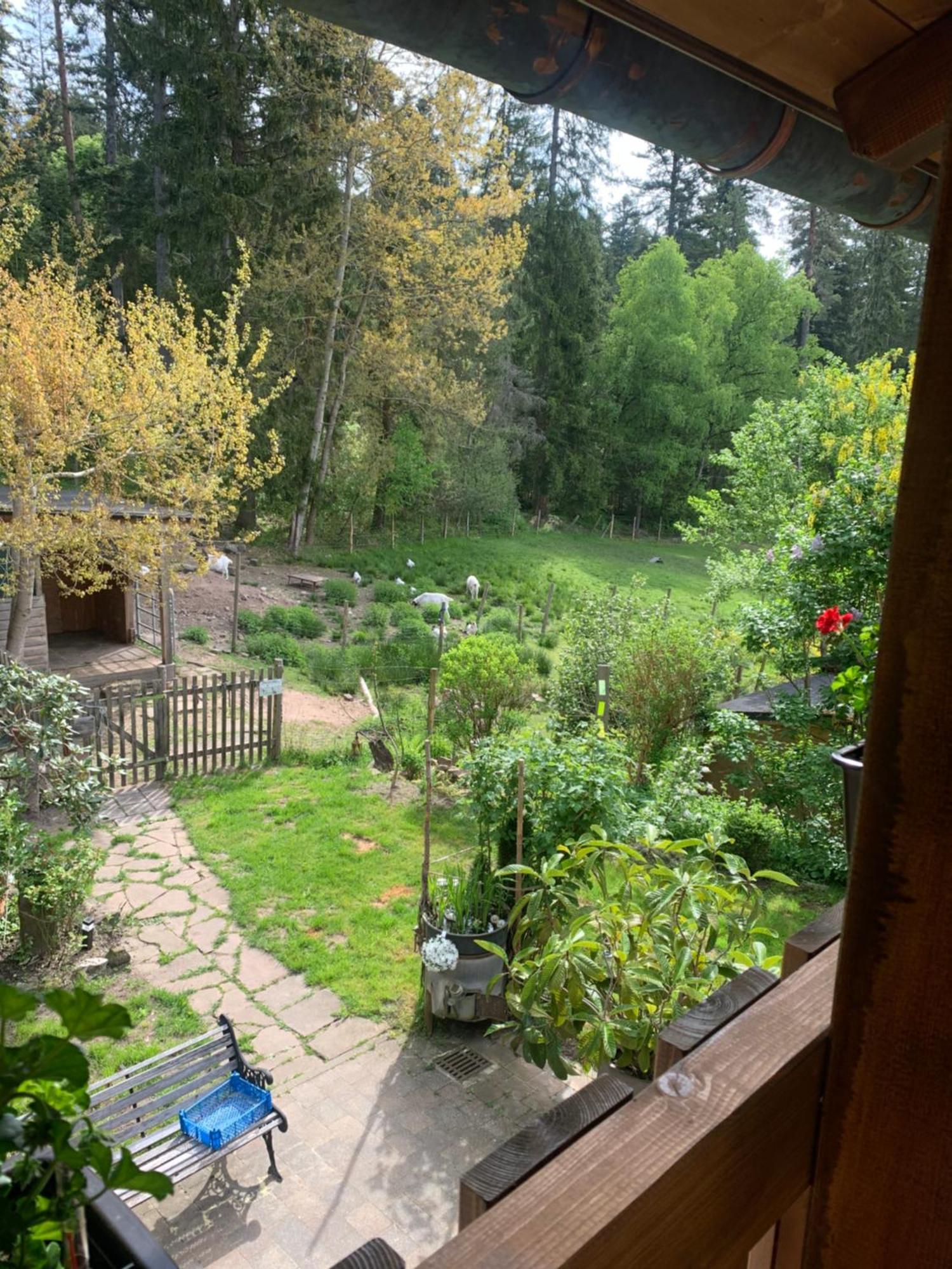 Tarahaus Apartment Sankt Georgen im Schwarzwald Luaran gambar